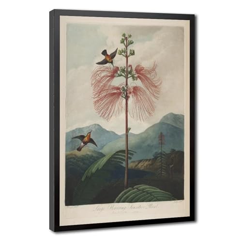 Impression sur toile Temple of Flora pour décoration murale de bureau 40x60 cm