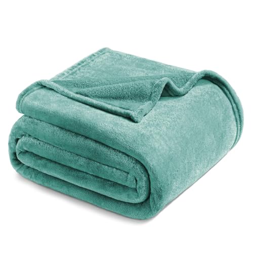 Exclusivo Mezcla Soft Fleece Blanket Twin Size for Bed, Celadon