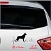 Artstickers Pegatinas para Coche con Forma de Perro Pastor Belga, 20 cm,...