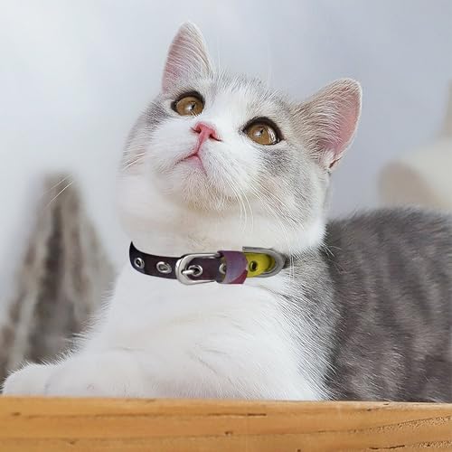 Collier réglable chiens et chats finition soignée teinte Raisins du désert