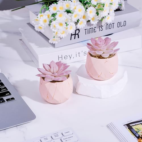 Artificial Succulent Plants in 2 Pink Ceramic Pots, Cute Fake Plants for Vanity Decor,Office, Desk, Bathroom, Kitchen,Bedroom, Shelves Decor for Women,Girls Gift - Image 3