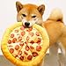 Faygeal Simulation Pizza Pet Plush Toy Great for Indoor Chewing Training Reward and Outdoor Activity Enhances Interaction