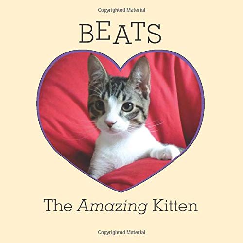 Beats: The Amazing Kitten