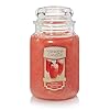 Yankee candle white strawberry bellini scented classic 22oz large jar single wick candle over 110 hours of burn time  urban country home decor