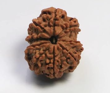 QUEEN-GEMS Navamukhi Rudraksha Original with Certificate Durga Maa Rudraksha 9 Faced Rudraksha Nau Mukhi Rudraksha Silver Pendant for Pooja & Japa Purpose