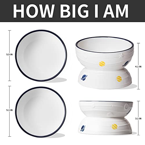 Hasense Tilted Cat Bowl Anti Vomiting, Double Raised Cat Bowls For Food And Water, Elevated Ceramic Small Dog Feeder, Protect Pet's Spine, Dishwasher Safe, Porcelain Slanted Dishes, White Set Of 2 #TOP5
