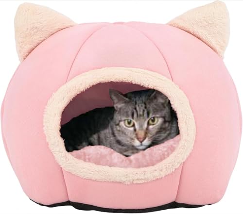 Lxbh ybgxbh LbgnEX h[^ g ӂӂ ΍ p 􂦂 NbVt Lybg̋xAɍœKŁAɕۂĂ_炩QƂĒ (sN,M)