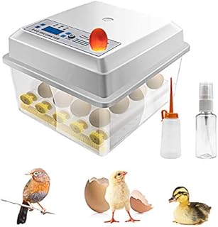 Safego Egg Incubator for Hatching Eggs, Digital Mini Incubator with Automatic Turner and Egg Candler Tester for Hatching Chicken Duck Quail Bird Eggs (16 Eggs)