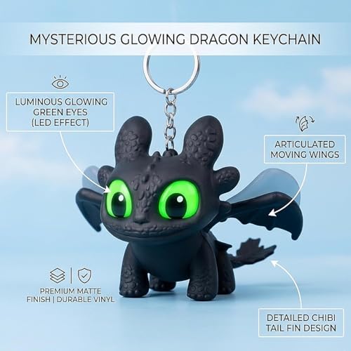 Image of Metal Keychain with Carabiner Clip | Portable Key Ring Holder | Heavy Duty Key chain Charm | Everyday Carry Key Accessory for Men Women | Gift for Car & Bike Keys