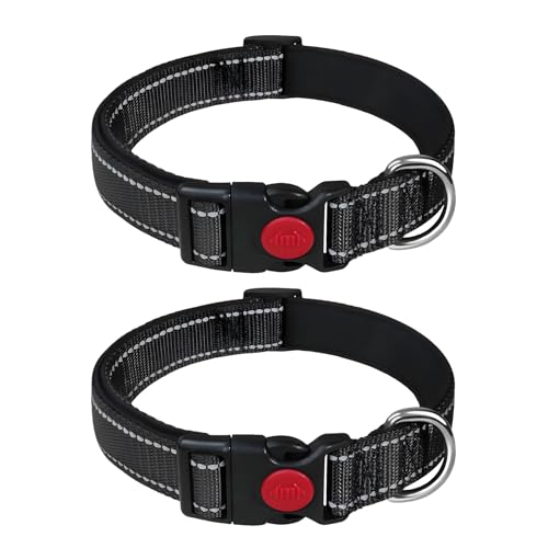 2 Stück Hundehalsband, Nylon Reflektierendes Hundehalsband Paracord Halsband Hund Verstellbare und Reflektierend Wasserfest 2cm Breite für kleinen Training Schwarz (28-38cm)