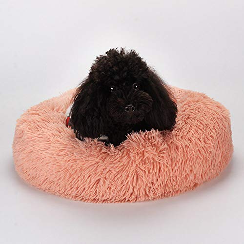 Lit pour chat doux avec rebords surélevés et coussin lavable amovible