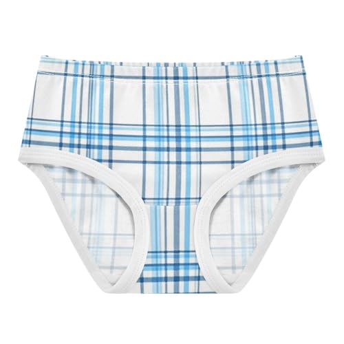 Girls' Hipster Panties Organic Cotton Toddler Underwear for Girls Blue Grid Plaid