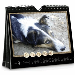 10 x Wand- und Tischkalender 14x16,5cm schwarz