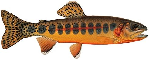 Golden Trout Fishing Color Decal 6"x 2.5"