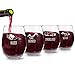 Funny Stemless Wine Glass Set | Animal Pack Set of 4 Glasses | Buzzed, Infoxicated, Skunked and Slothed | Novelty Glasses with Cute Sayings for Women, Her | Quality Made in USA