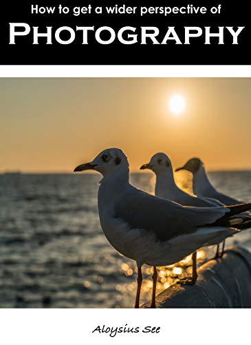  How to get a wider perspective of Photography (English Edition)