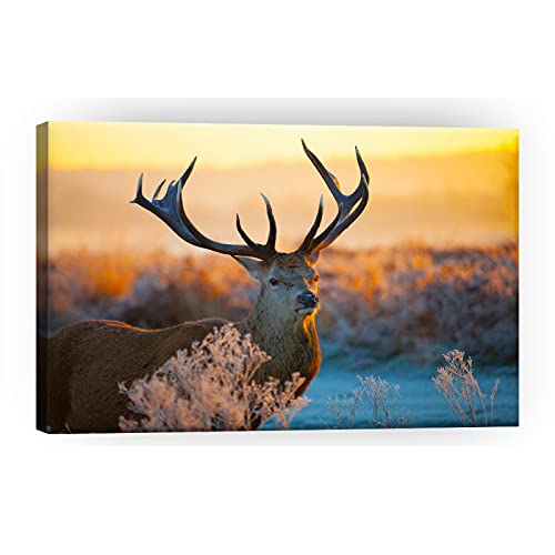 Tableaux Deco Murale Poster Toile Peinture Murale Art Decoration Peinture Salon Chambre Couloir Murale Art Tableau Wapiti d'hiver sur Toile 40X60Cm X1 sans Cadre Cover