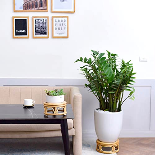 Pack Of 2 Natural Large Rattan Wicker Plant Stand By Kutorkill Medium Modern Plant Stand For Indoor Plant Flower Stool Stand Garden Home Decor Boho Plant Stand Holder Suitable Fits 8" And 12" Pots #TOP2