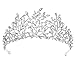 PHILSP Diademi da Sposa Foglia di Cristallo Moda di Lusso Hairwear Decorativo Principessa Diademi Corona Shiny Vintage Pageant Prom Accessori per Capelli Argento