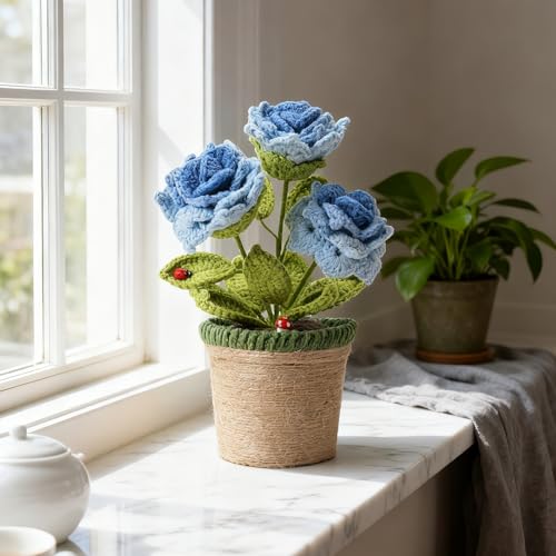 Plantes en pot en crochet bleu azur pour illuminer votre bureau et salon