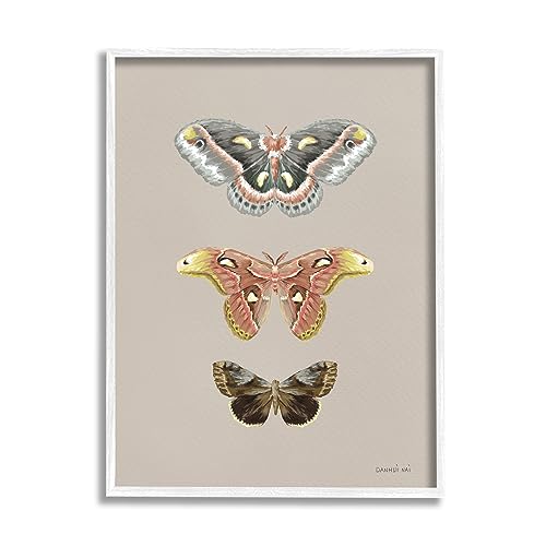 Image of 'Vintage Moth Specimens'| Framed Giclee Art | Stupell Industries | White, 11 x 14 Inches, Easy to Hang and Sturdy, Made in USA, by Danhui Nai
