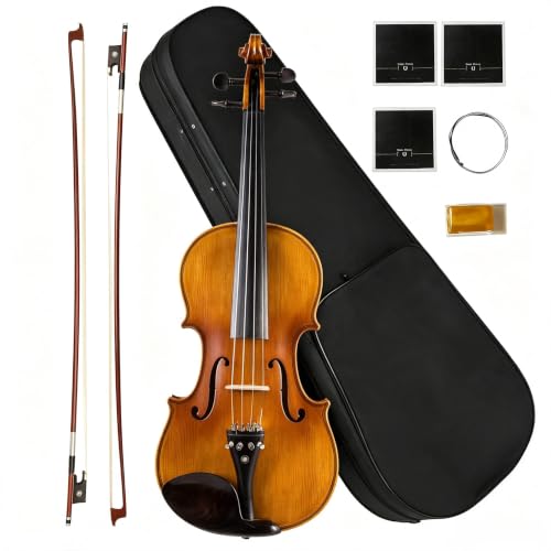 4/4 Full Violin for Beginners,Solid Wood Starter Kit with Case, Bow & Rosin