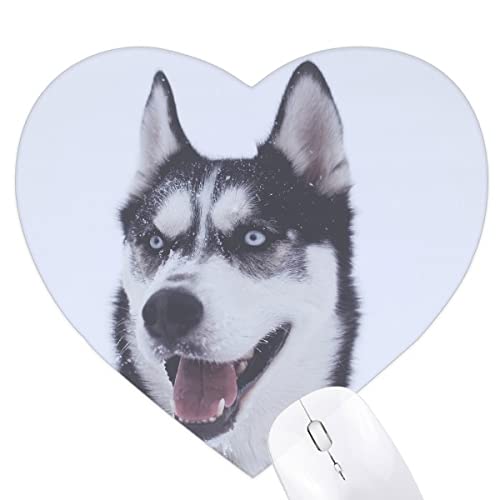 Tapis de souris husky antidérapant cœur pour souris optique