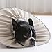 ERMING Dog Neck Cones Recovery Collar Comfortable Dogs Flexible Dog for Post Surgeries Wound Care Cats Wound Care Collar