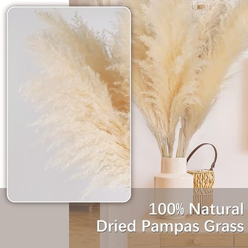 Pampas grande 80cm decorativo 5 unidades miniatura 4