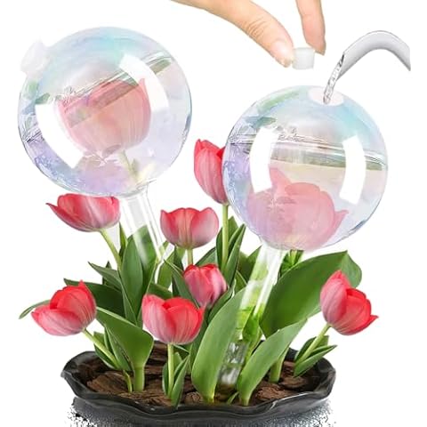 E-feilai Glass Watering Globes for Plants Cover