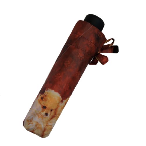 Pealra Chihuahua And Spitz Super Mini Umbrella #TOP3