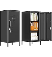 pozdeg 35.43" Metal Storage Locker with Lockable, Metal Steel Locker for Employees with 1 Door ＆ ...