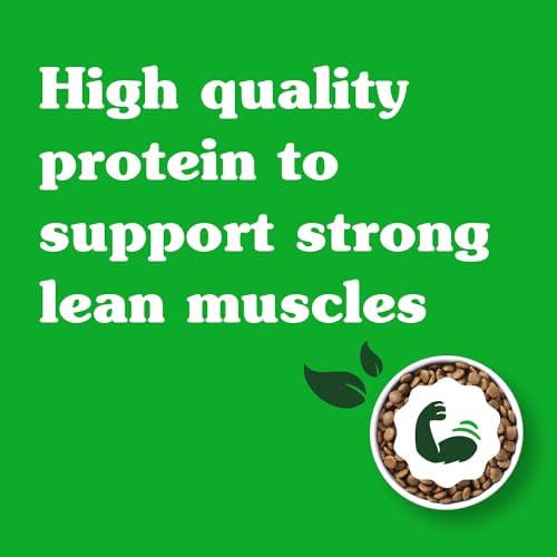 Greenies Smart Essentials Small Breed Adult Dry Dog Food Real Chicken & Rice Recipe, 2.49Kg Bag - Image 3