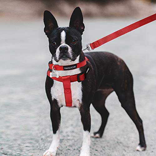 No Pull Dog Harness - Adjustable Step-in Harness & Leash Set for Small, Medium, Large Dogs - Escape Proof Soft Pet Harness for Walking, Training, Hiking, Outdoor Activities - Thumbnail 5