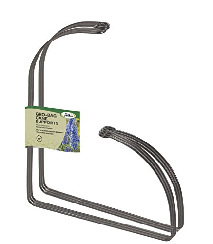 Growbag Cane Supports x 3