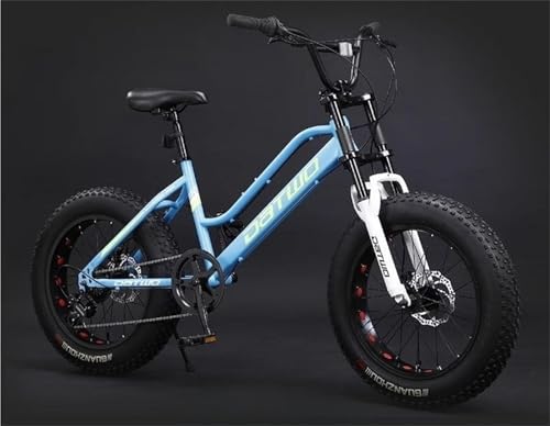 20 C`̎qp}Ee oCNAj̎qpIt[hA4.0 MAAL^CAr[`ƃXm[ oCNAeB[GCW[ƑlB (XJCu[ + V}mMA,20C`7gX~bV) [sAi]