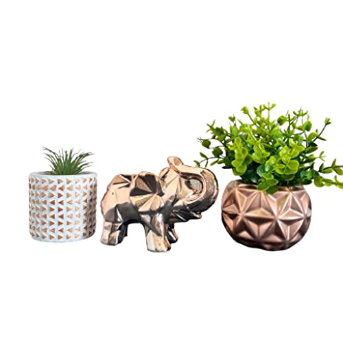 Trio decorativo elefante rose gold e dois vasos com planta