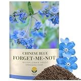 SunHaven Seeds Forget-Me-Not Seeds (Chinese Blue) – 5,000+ Seeds – 1 oz Bulk Extra Large Packet – Covers 100 sq ft – Non-GMO Cynoglossum amabile – Sky Blue Blooms for Wildflower Gardens