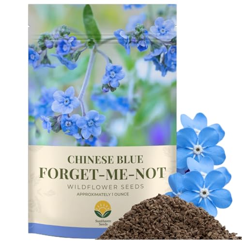 SunHaven Seeds Forget-Me-Not Seeds (Chinese Blue) 5 000+ Seeds 1 oz Bulk Extra Large Packet Covers 100 sq ft Non-GMO Cynoglossum amabile Sky Blue Blooms for Wildflower Gardens