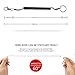 DICERO Fishing Coiled Lanyard (Pack of 8 or 12) Accessories Plastic Retractable Coiled Tether with Lobster for Tools 60 Inches Max Stretch