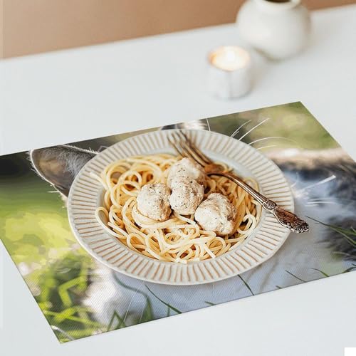 Set de table en PVC imperméable pour protéger des taches et plats - 8
