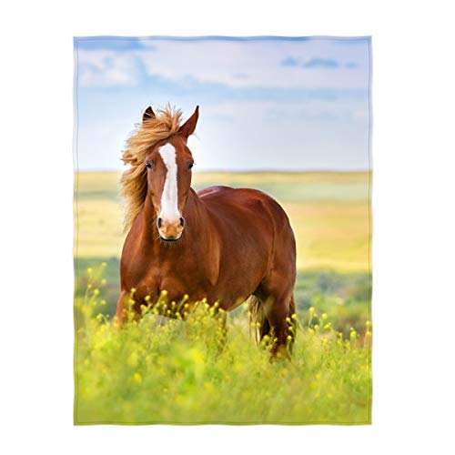 Qh 60 X 80 Inch Beautiful Horse Pattern Super Soft Throw Blanket For Bed Sofa Lightweight Blanket Throw Size For Kids Adults All Season #TOP5