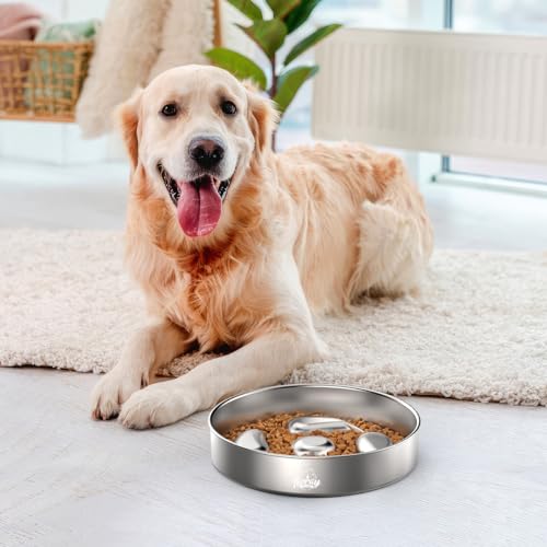 Tivray-Slow-Feeder-Dog-Bowls-304-Stainless-Steel-Dog-Slow-Feeder-Bowl-38-Cups-Metal-Dog-Food-Bowl-with-Non-Slip-Bottom-Anti-Gulping-Slow-Eating-Dog-Bowl-for-Medium-Large-Breed-Dishwasher-Safe