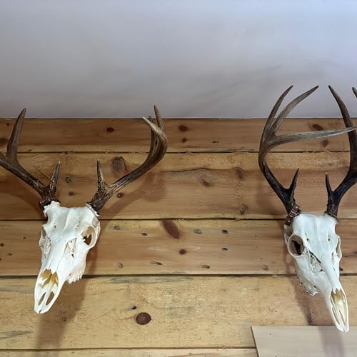 Ep. 47: 2025 Banding Night