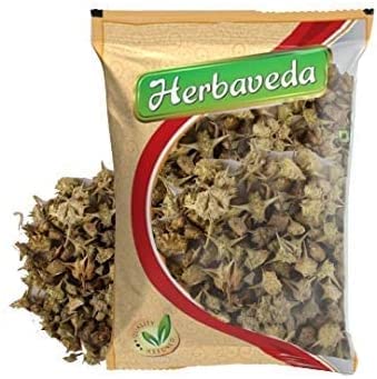 Herbaveda - Gokhru Bada (200 g) Gokhroo Bada | Gokshura | Graines de Tribulus Terrestris | Petits Caltrops | Sabut