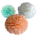 Saitec ® 12 Mixed White Mint Green Peach Party Tissue Pompoms Paper Flower Pom Poms Wedding Annivers