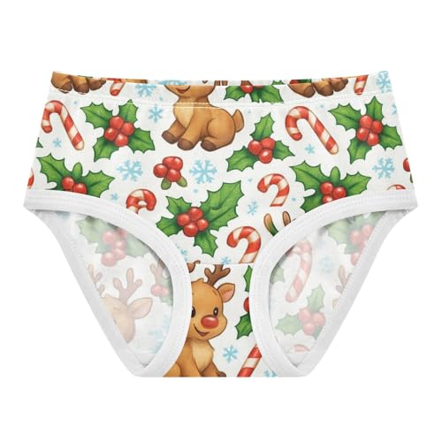 Joisal Cute Cartoon Reindeer Snow Toddlers Underwear Floral 2t Cotton Little Girl Panties Cartoon Kids Briefs Undies
