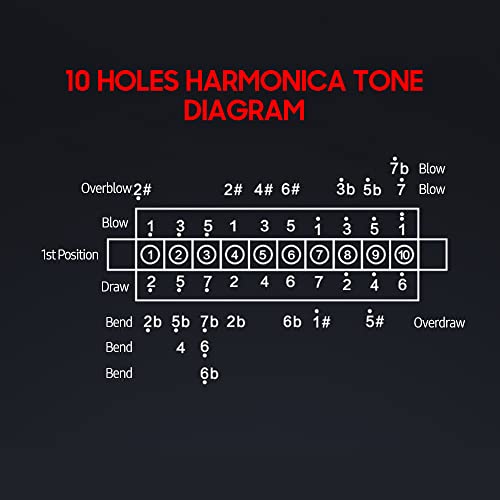 caigou Harmonica Diatonic Blues Harmonica Key of C, 10 Trous 20 Tons Blues Harp Orgue à Bouche Harmonica Coque en Acier… - Les Beatles, Paul McCartney, John Lennon, RIngo Starr, George Harrison caigou Harmonica Diatonic Blues Harmonica Key of C, 10 Trous 20 Tons Blues Harp Orgue à Bouche Harmonica Coque en Acier… – Image 5