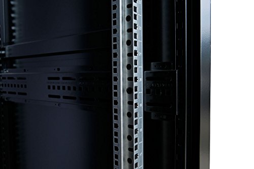 image for RAISING ELECTRONICS 42U Rack Mount Internet/Network Data Server Cabine