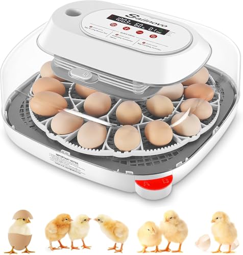 Sailnovo 24-egg incubator with 4 modes